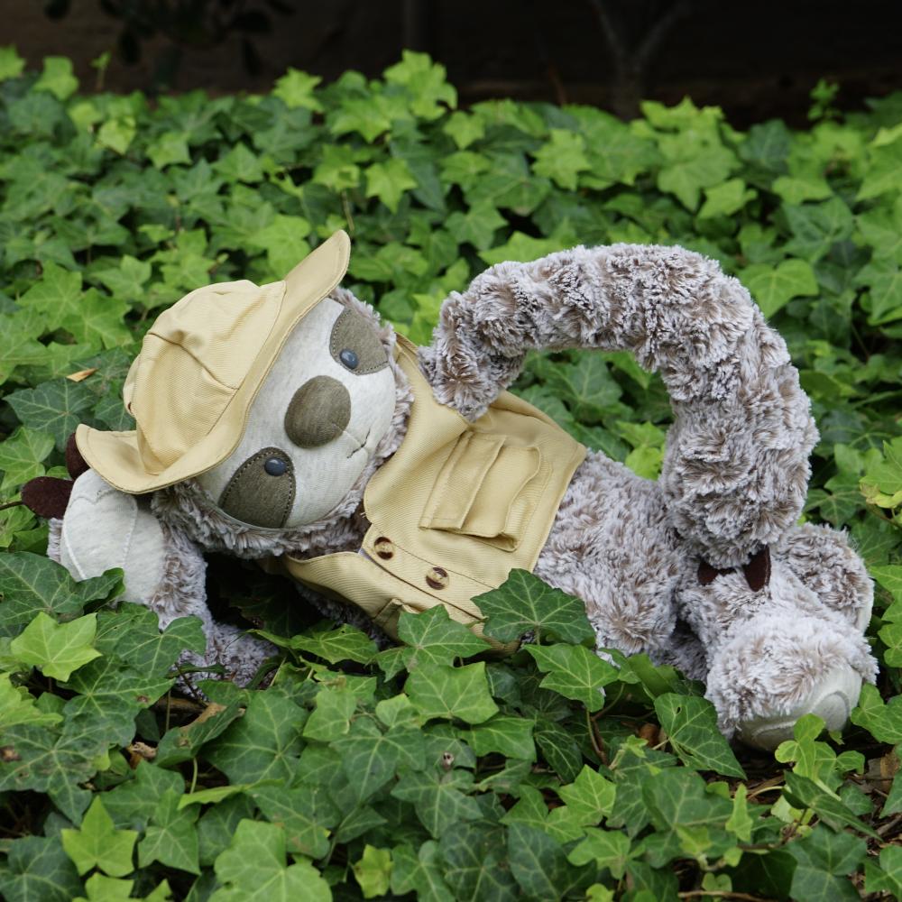 Sammy the Sloth