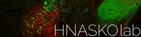 Hnasko Lab Logo